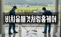 비치움새것처럼홈케어