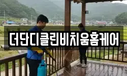 더단디클린비치움홈케어