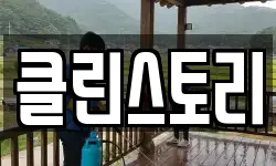 클린스토리