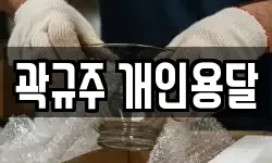 곽규주 개인용달