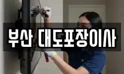 부산 대도포장이사