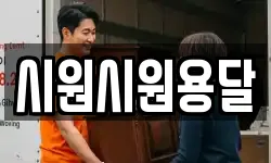 시원시원용달