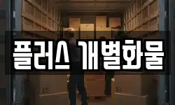 플러스 개별화물