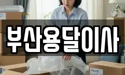 부산용달이사