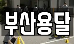 부산용달
