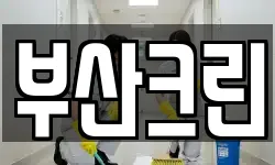 부산크린
