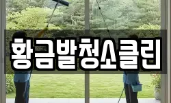 황금발청소클린