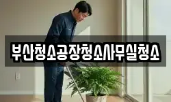 부산청소공장청소사무실청소