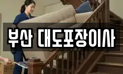 부산 대도포장이사
