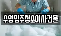 수영입주청소이사건물