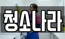 청소나라