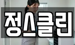 정스클린
