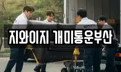 부산 영도구 남항동2가 이사,용달이사,포장이사,원룸이사,보관이사