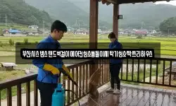 부산시스템스탠드벽걸이에어컨청소통돌이세탁기청소싹쓰리하우스