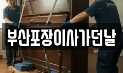부산포장이사가던날