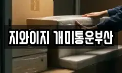 지와이지 개미통운부산