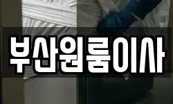 부산원룸이사