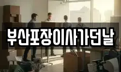 부산포장이사가던날