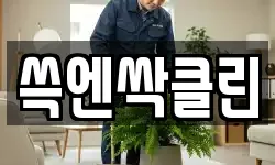 쓱엔싹클린