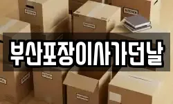 부산포장이사가던날