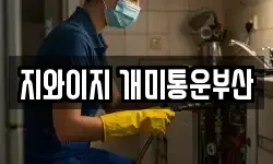 지와이지 개미통운부산