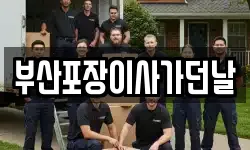 부산포장이사가던날
