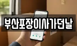 부산포장이사가던날