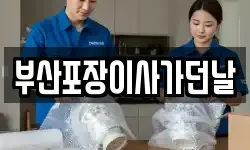 부산포장이사가던날