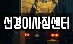 부산 영도구 신선동3가 이사,용달이사,포장이사,원룸이사,보관이사