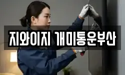 지와이지 개미통운부산