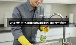 부산시스템스탠드벽걸이에어컨청소통돌이세탁기청소싹쓰리하우스