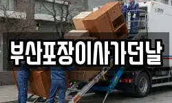 부산포장이사가던날