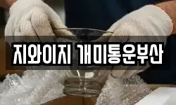 지와이지 개미통운부산