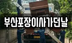 부산포장이사가던날