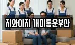지와이지 개미통운부산