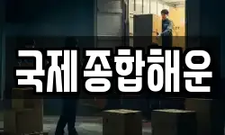 국제종합해운