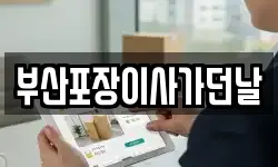 부산포장이사가던날