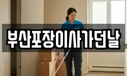 부산포장이사가던날