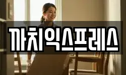 까치익스프레스