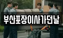 부산포장이사가던날