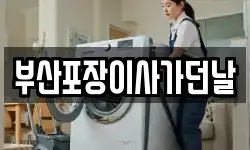 부산포장이사가던날