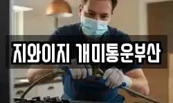 지와이지 개미통운부산