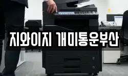 지와이지 개미통운부산