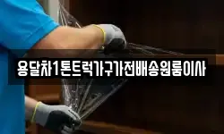 용달차1톤트럭가구가전배송원룸이사