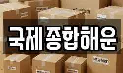 국제종합해운