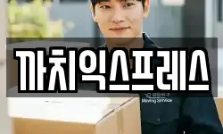 까치익스프레스