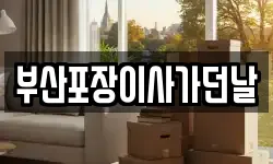 부산포장이사가던날