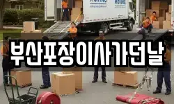 부산포장이사가던날