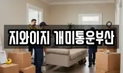 지와이지 개미통운부산