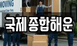 국제종합해운